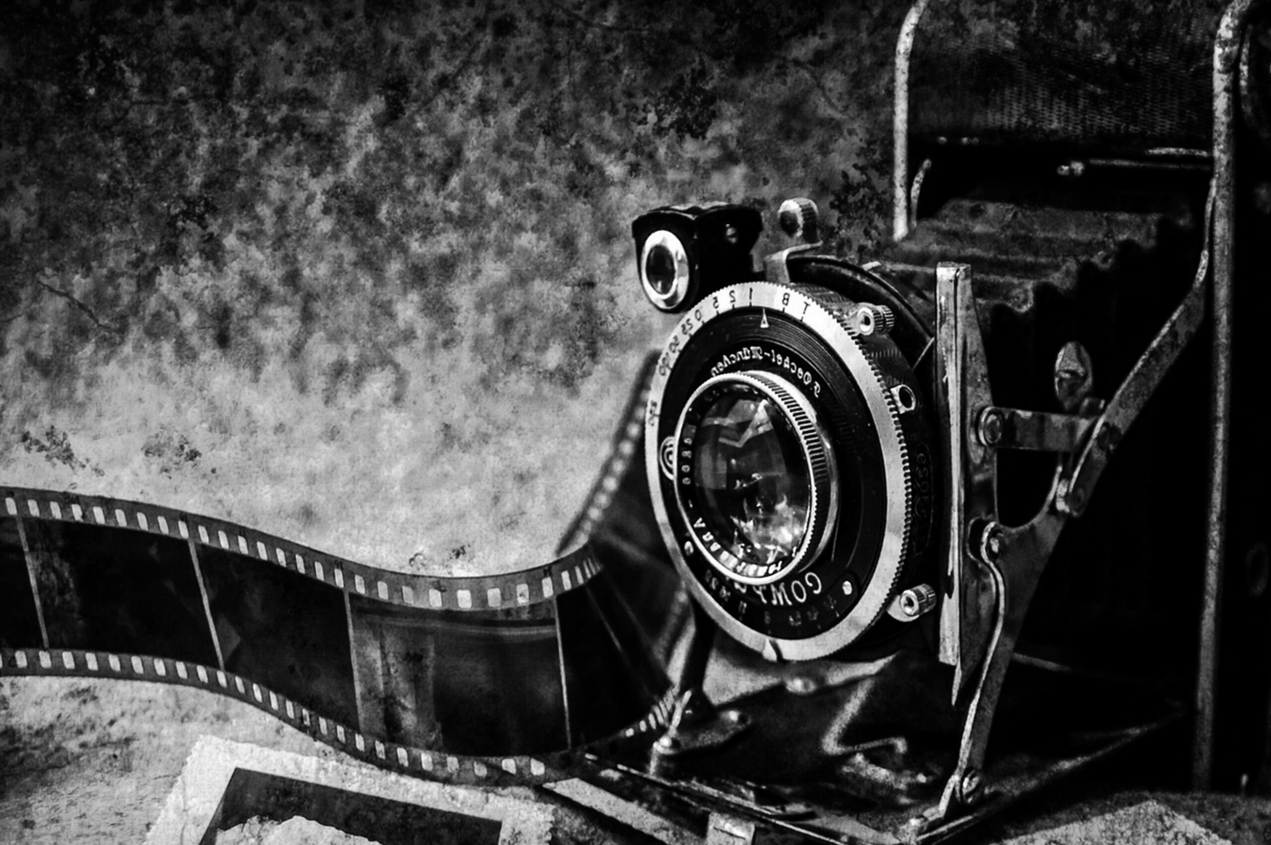 galeria de fotos